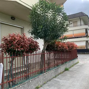 Il Tucanino Carasco
